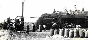 1745- Algerie - Batteuse2 chauffee a la paille